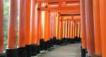 Traditioneel Japan - Kunst, architectuur & cultuur